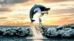 Warner Bros Resmi Garap Reboot Free Willy, Film Legendaris Era 90-an Kembali ke Layar Lebar