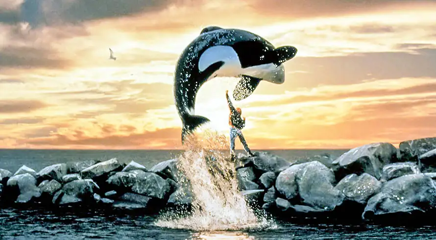 Warner Bros Resmi Garap Reboot Free Willy, Film Legendaris Era 90-an Kembali ke Layar Lebar