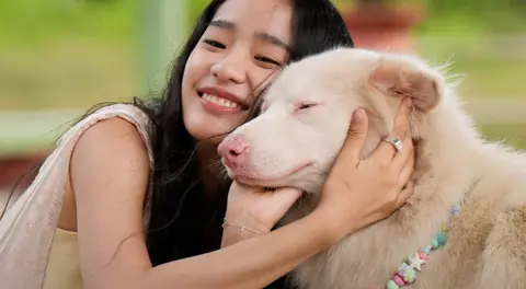 Sinopsis Film Gohan: Kisah Anjing Setia yang Siap Menguras Air Mata Penonton