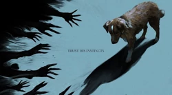 Sinopsis Film Good Boy, Ketegangan Horor dari Sudut Pandang Seekor Anjing