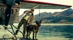 Heart of the Beast Rilis Trailer Perdana, Brad Pitt Hadapi Alam Liar Alaska yang Mematikan