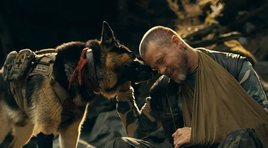 Apakah Odin, Anjing di Film Heart of the Beast Mati?