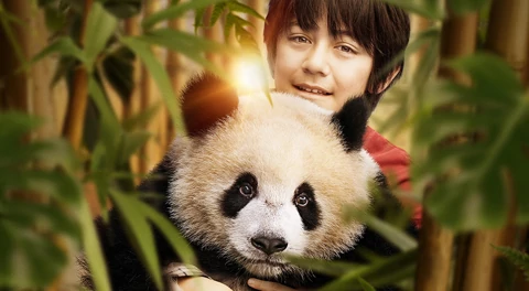 Sinopsis dan Jadwal Tayang Moon the Panda, Petualangan Keluarga Penuh Keajaiban dan Persahabatan
