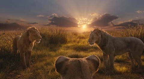 Mufasa: The Lion King Sukses Singkirkan Sonic dari Puncak Box Office Amerika Utara