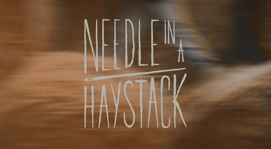 Needle in a Haystack, Drama Misteri Khas Indonesia yang Menyajikan Cerita Unik!