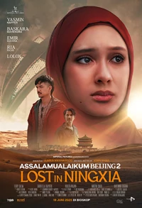 Assalamualaikum Beijing 2: Lost in Ningxia