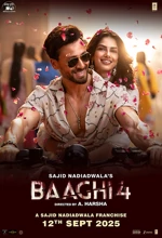 Poster Film Baaghi 4
