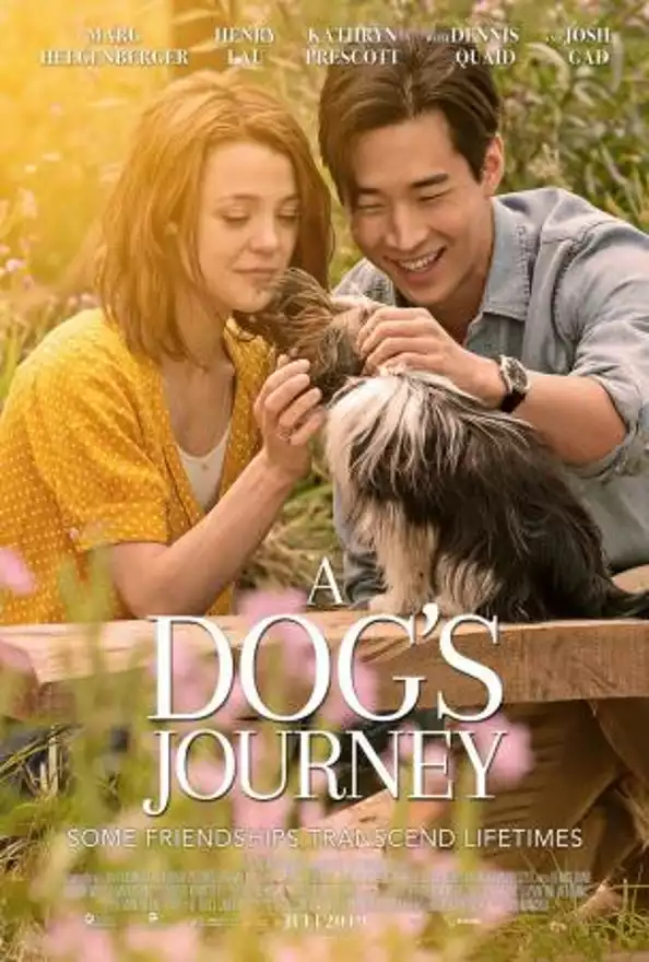 Film A DOGÃ¢â¬â¢S JOURNEY