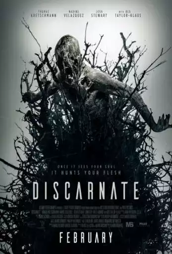 Film DISCARNATE