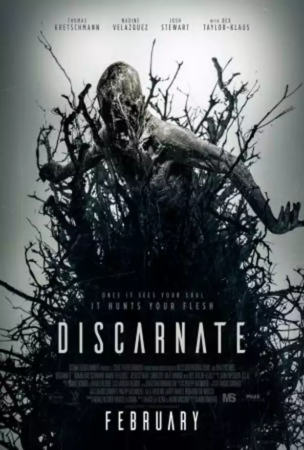 Film DISCARNATE
