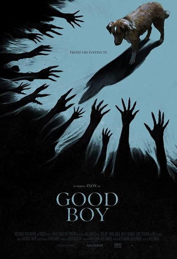 Film Good Boy