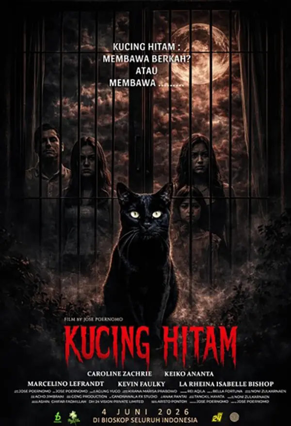 Film Kucing Hitam