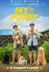Jadwal Film My Puppy