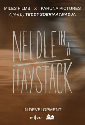 Film Needle in a Haystack