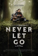 Poster Film Never Let Go