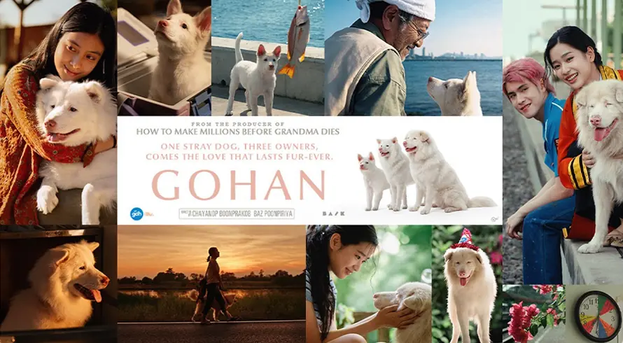 Review Film Gohan: Perjalanan Seekor Anjing yang Mengubah Banyak Kehidupan