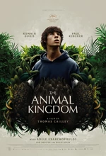 Poster Film The Animal Kingdom